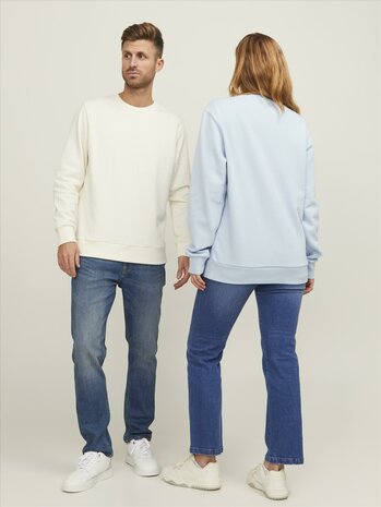 Egret Offwhite - JACK &amp; JONES//PRODUKT Basic Crew Neck Sweat