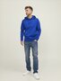 Surf the Web Blue JACK &amp; JONES//PRODUKT Basic Hood Sweat