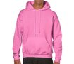 Azalea Heavy Blend Hoodie